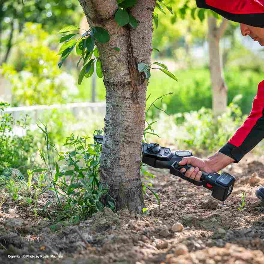 تصویر 4 از اره برقی هرس سبک برای شاخه زنی سریع